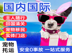 攀枝花保安营航空快运国际宠物托运 【国